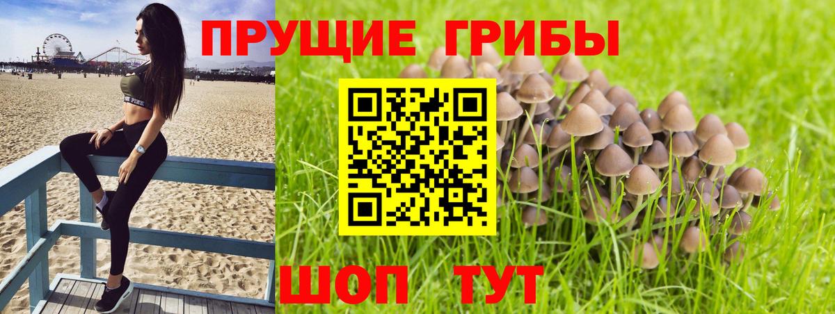 Псилоцибиновые грибы Psilocybe  Вход с VPN  Галлюциногенные грибы прущие грибы  Янаул 