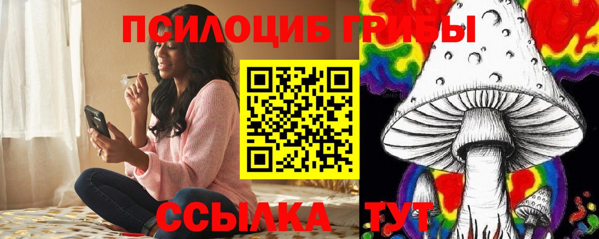 Псилоцибиновые грибы Psilocybine cubensis Янаул
